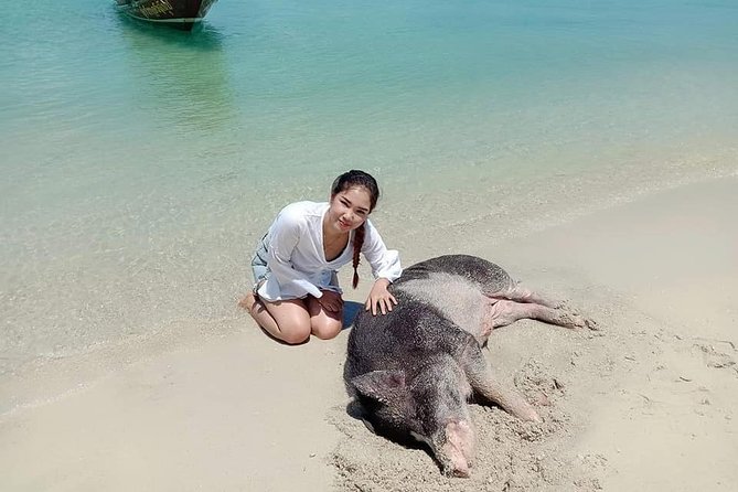 Koh Madsum and Koh Tan Snorkeling Trip By Speedboat From Koh Samui - Cost and Value: Why This Tour Works at Around $50