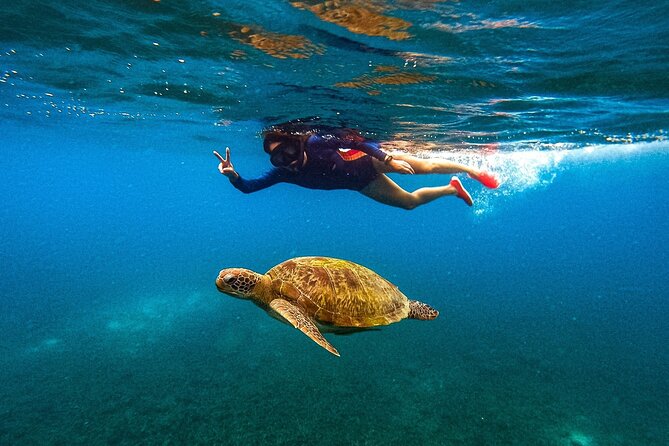 Koh Nang Yuan and Koh Tao 5 Point Snorkeling Tour - Key Points to Know Before You Go