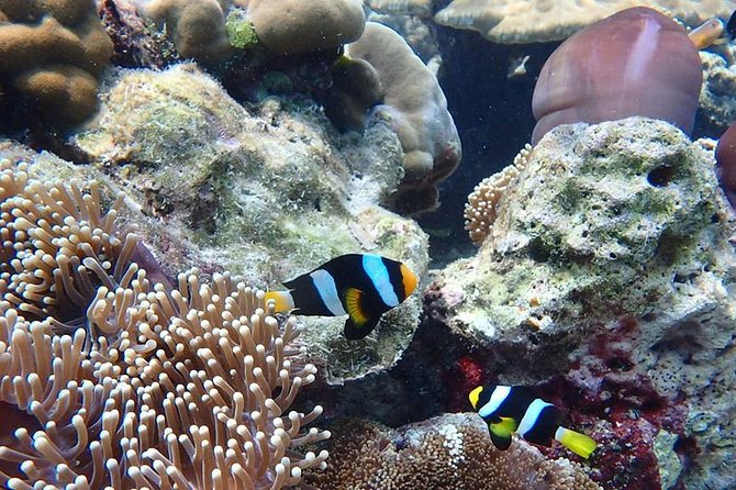 Koh Ngai, Koh Muk + Emerald Cave Snorkeling Tour by Classic Longtail Boat - Stop 2: Ko Muk—short beach time and cave country