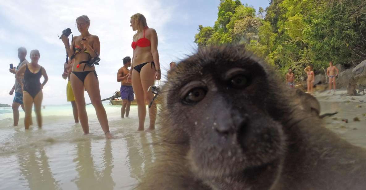 Koh Phi Phi: Captain Bob's Private Booze Cruise - Price and Value: Is $920 Per Group Up to 9 a Good Deal?