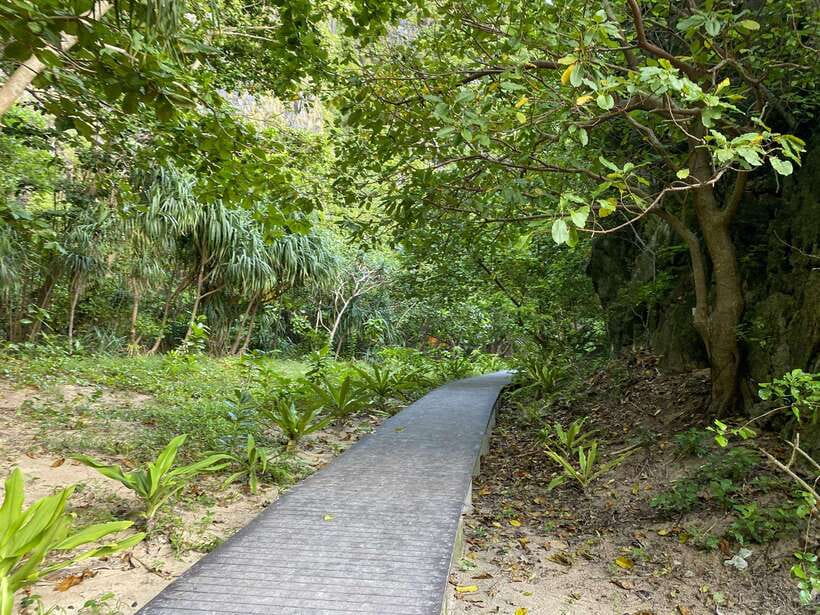 Koh Phi Phi: Early Morning Maya Bay, Bamboo Speedboat Tour - Pileh Lagoon: Swimming Under Limestone Cliffs