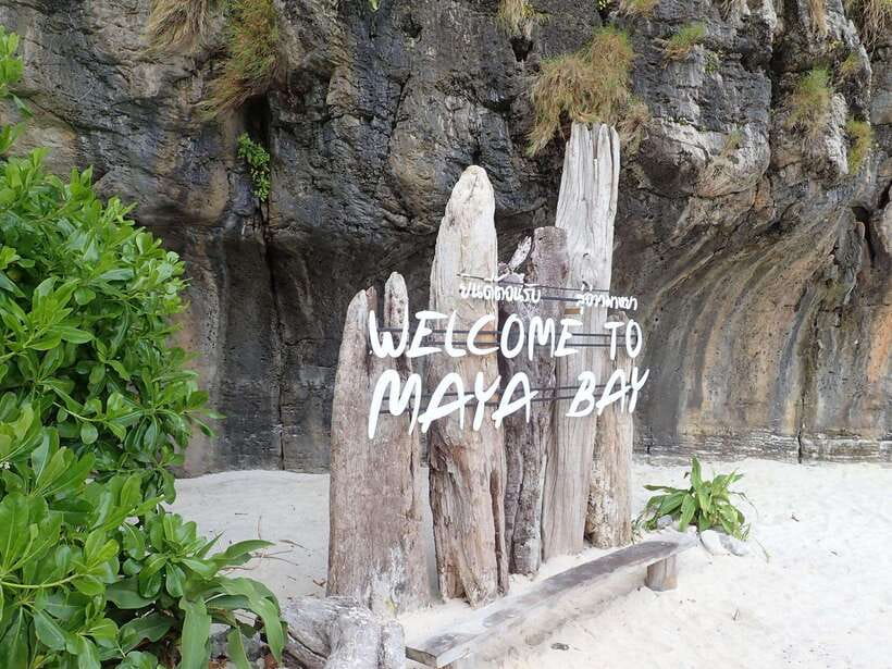 Koh Phi Phi: Early Morning Maya Bay, Bamboo Speedboat Tour - Viking Cave: Photos First, Then Water Time