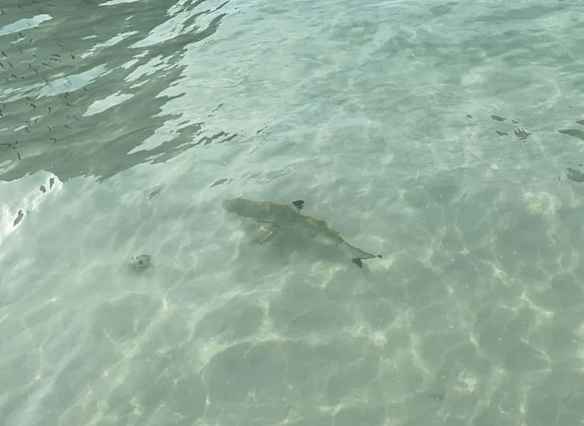 Koh Phi Phi: Halfday Maya Bay Sunset & Plankton by Speedboat - Speedboat time on Phi Phi: why this feels efficient