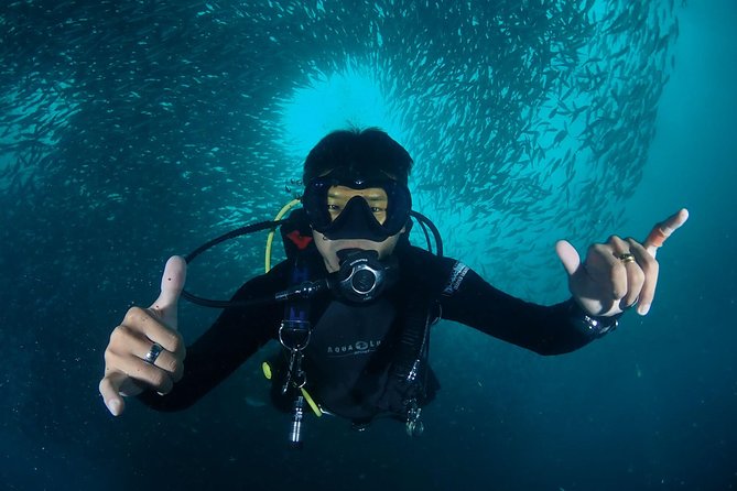 Koh Samui 2-Dive Trip to Sail Rock for certified divers - Price and value: what $180.91 really covers
