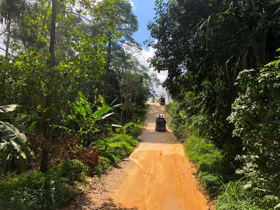 Koh Samui: 4x4 Off Road Island Safari Tour Including Lunch - Plantation stops that focus on how products are made