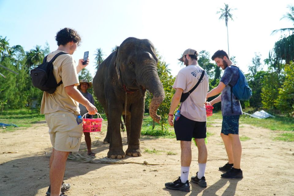 Koh Samui: 4x4 Sightseeing Safari & Elephant Sanctuary Tour - Wat Teepangkorn and the Golden Buddha Statue on a Mountain Route