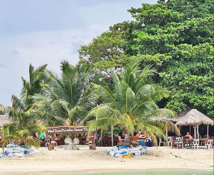 Koh Samui: Amazing Pig Island Tour - Cruise Ship Tours - Key Things to Know Before You Go