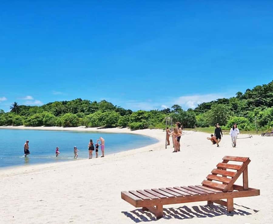 Koh Samui: Amazing Pig Island Tour - Cruise Ship Tours - Price and Timing: What $91 Really Covers