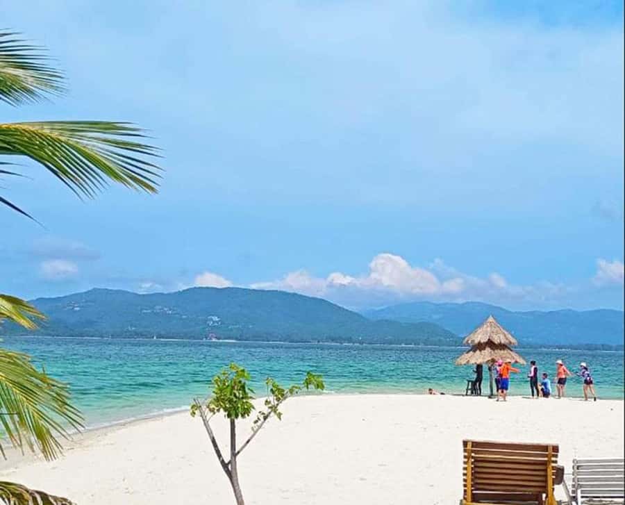 Koh Samui: Amazing Pig Island Tour - Cruise Ship Tours - Koh Tan Snorkeling: Reef Time With Clear-Water Odds