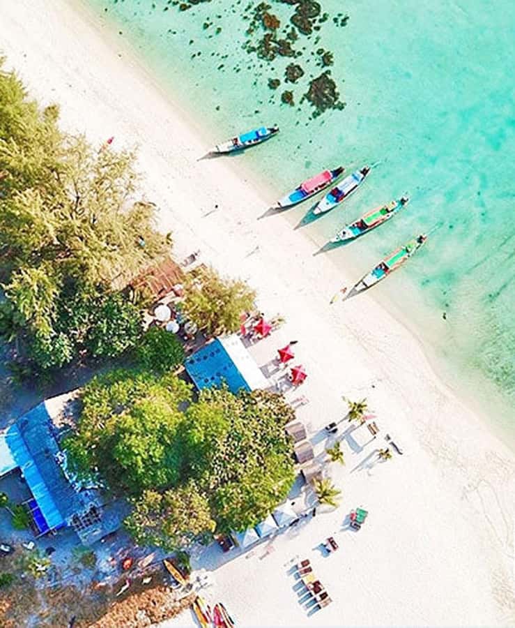 Koh Samui: Amazing Pig Island Tour - Cruise Ship Tours - Lunch on the Beach: Thai Food With a View