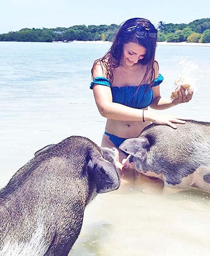 Koh Samui: Amazing Pig Island Tour - Cruise Ship Tours - What to Bring for Comfort (Not Just for Photos)