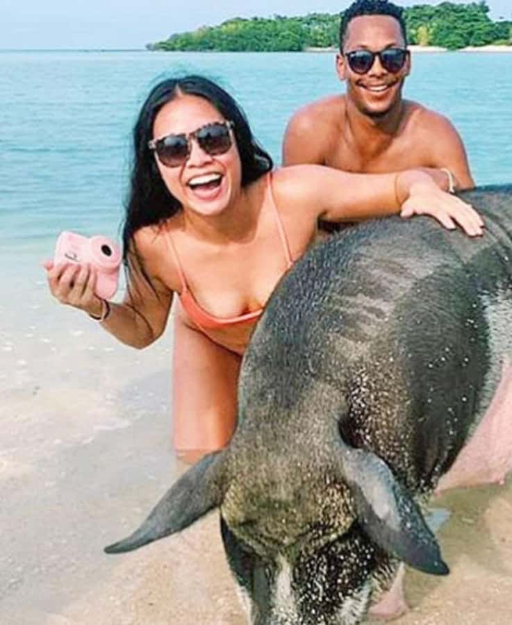 Koh Samui: Amazing Pig Island Tour - Cruise Ship Tours - Meeting at Nathon: The Part That Makes or Breaks Your Day