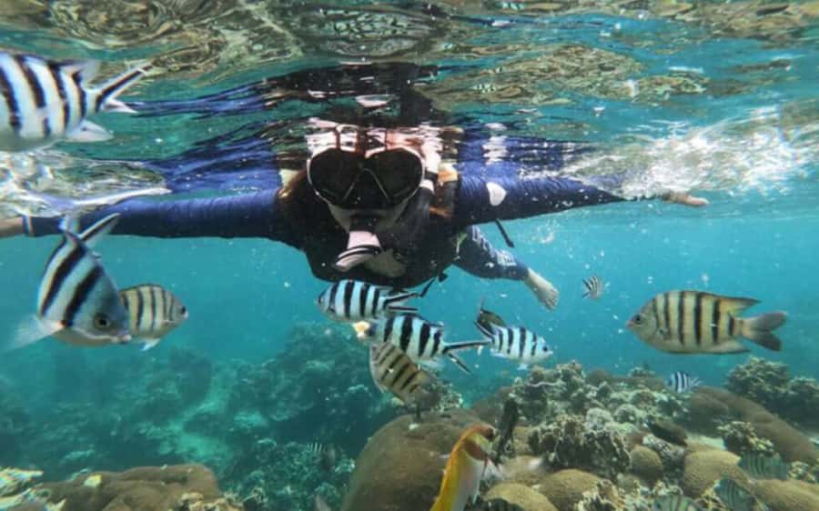 Koh Samui: Ang Thong Marine Park Day Tour by Speedboat - Hotel Pickup, Thong Sala Pier, and the 9-Hour Rhythm