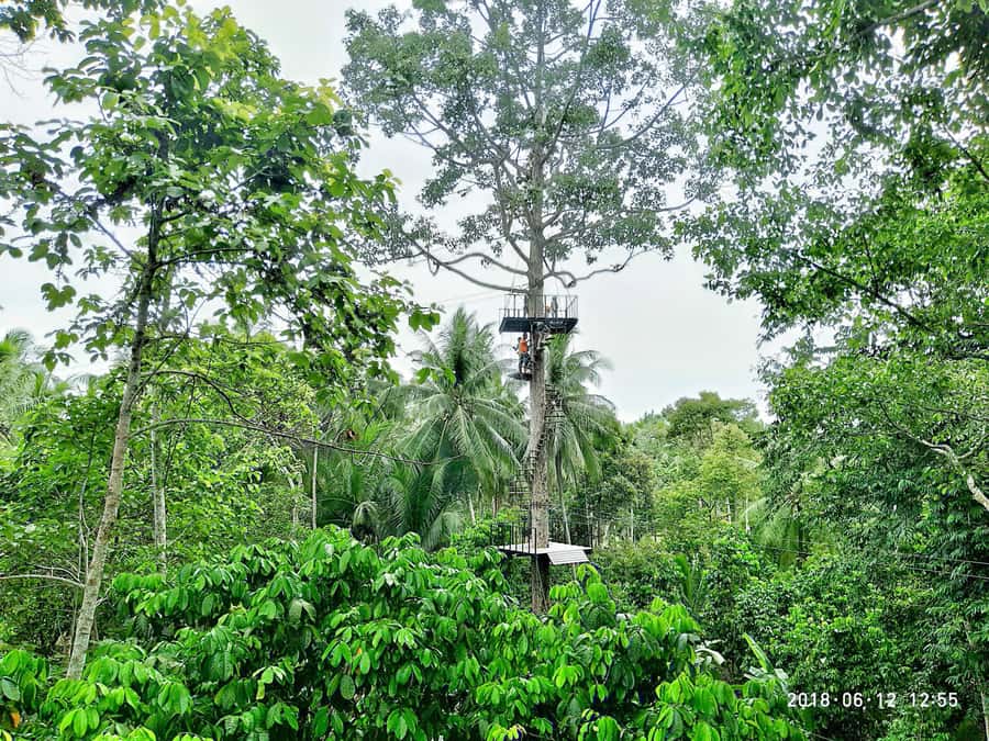 Koh Samui: ATV And Zipline Experience with Transfer - ATV Trails First: What You Can Expect From the Riding