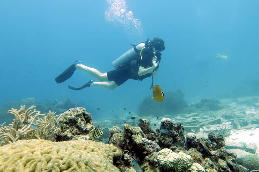 Koh Samui: Day Trip Diving at Sail Rock - Key takeaways before you go