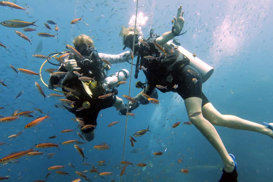 Koh Samui: Discover Scuba Diving - SSI Introduction: what you’re really signing up for