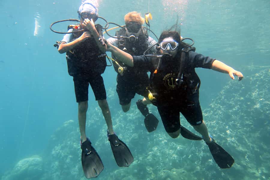 Koh Samui: Discover Scuba Diving - Where you go: Mango Bay and Japanese Garden conditions
