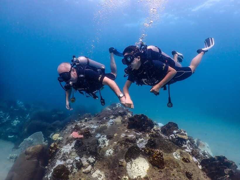 Koh Samui: Discovery Dive to Koh Tao or Sail Rock - The Rules Matter More Than You Think