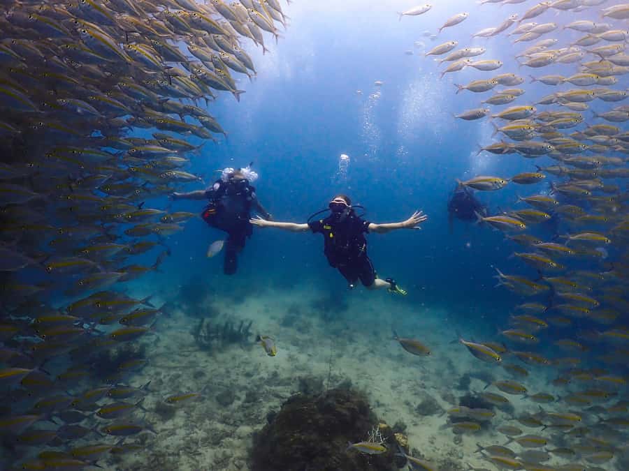 Koh Samui: Dive Tour to Koh Tao - Koh Samui to Koh Tao: the ride that sets the tone