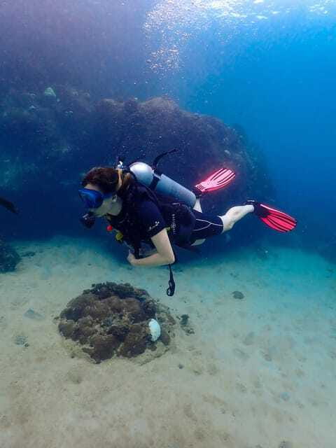 Koh Samui: Dive Tour to Koh Tao - Underwater highlight plan: shallow bays, coral gardens, and wrecks