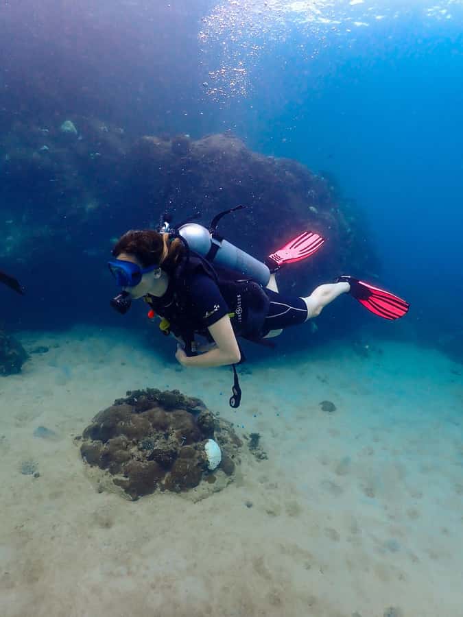Koh Samui: Dive Tour to Koh Tao - What you’re really paying for at $212