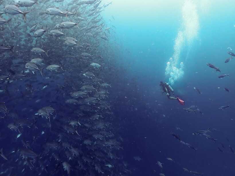 Koh Samui: Dive Tour to Sail Rock - Lunch on the island of your stomach: fuel for round two
