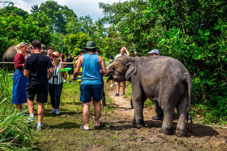 Koh Samui: Elephant Sanctuary and Jungle Tour with Lunch - Stop 1: Namuang Waterfall—cool water, quick photos, and monsoon reality