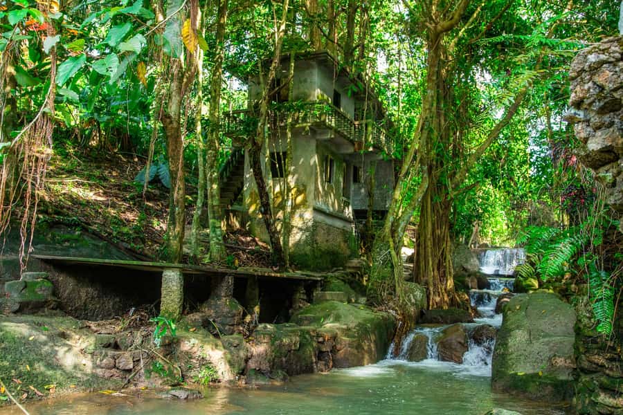 Koh Samui: Elephant Sanctuary and Jungle Tour with Lunch - Stop 4: Wat Teepangkorn viewpoint—temple peak and island-scale views