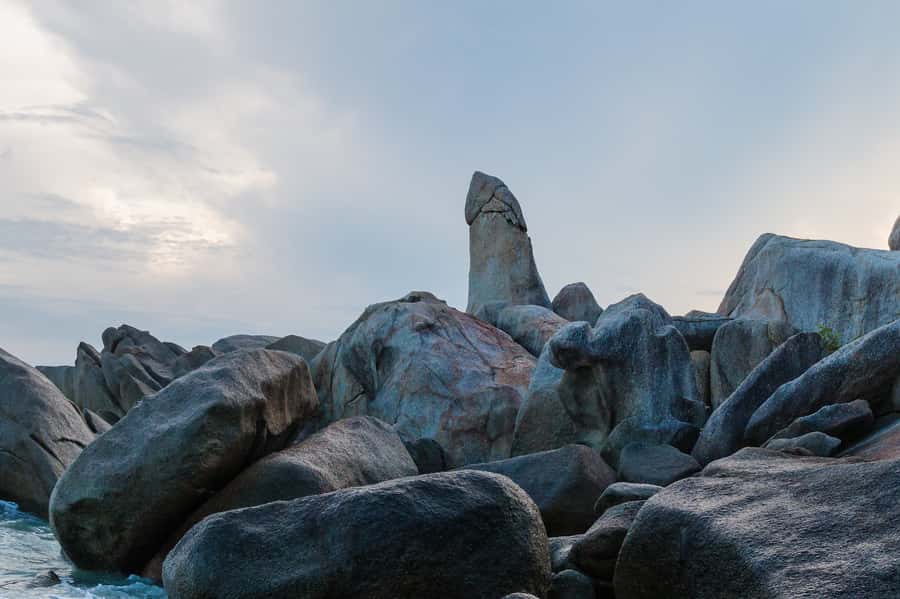 Koh Samui: Elephant Sanctuary and more - Full Day - Price and value: what you’re really paying for at $215