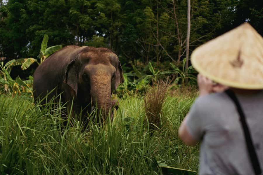 Koh Samui: Ethical Elephant Home Guided Tour with Transfers - Key things I’d circle on your Koh Samui map