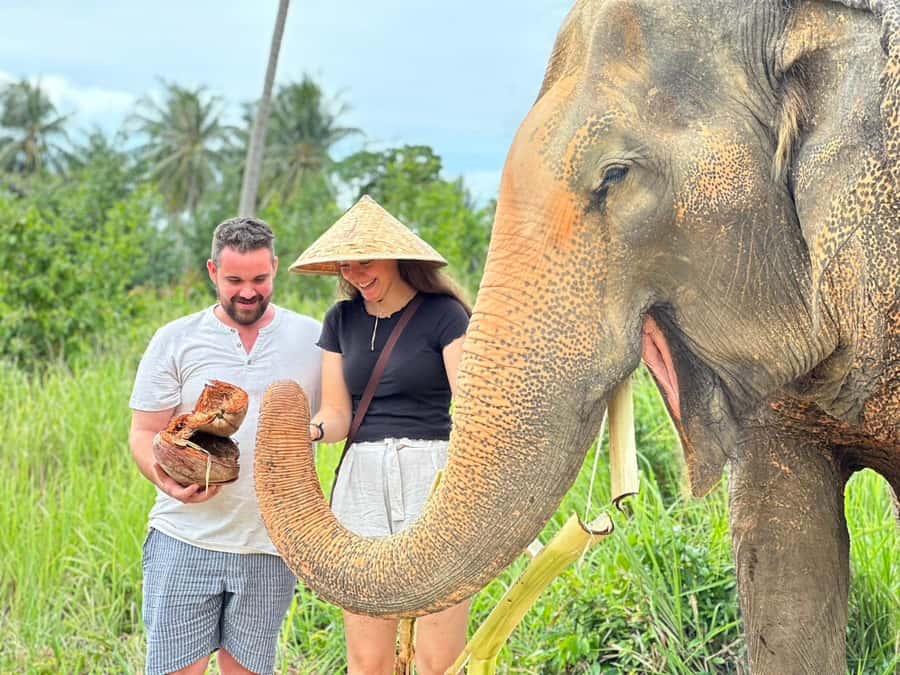 Koh Samui: Ethical Elephant Home Guided Tour with Transfers - Why this Koh Samui elephant home tour feels different
