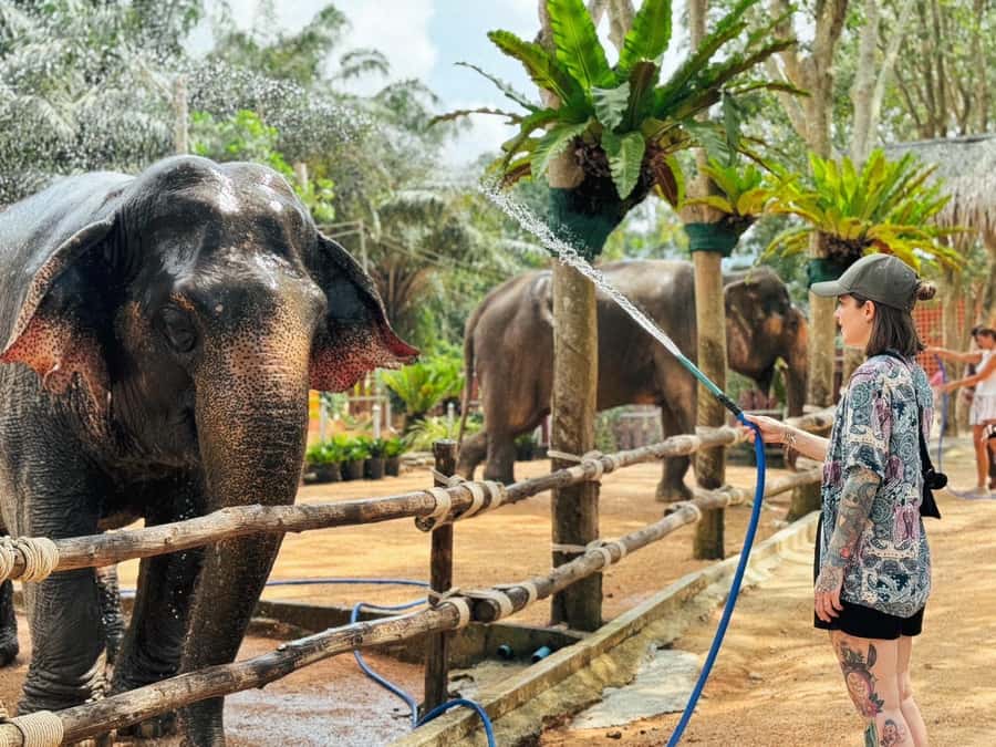Koh Samui: Ethical Elephant Home Guided Tour with Transfers - What to bring so the day stays comfortable