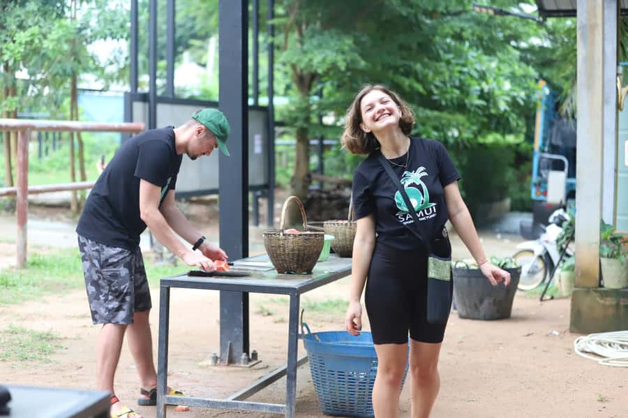Koh Samui: Ethical Elephant Sanctuary Tour with Buffet Lunch - The guided walk: learning names, needs, and personalities