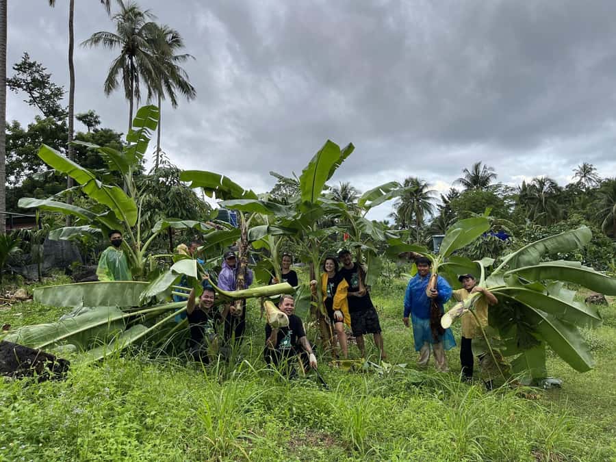 Koh Samui: Ethical Elephant Sanctuary Tour with Buffet Lunch - Price and value: is $125 worth it in Samui terms?