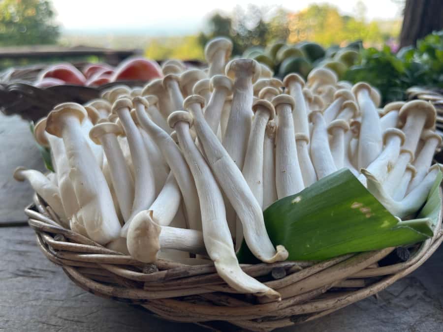 Koh Samui: Evening Thai Cooking Class with Organic Garden - Price and value: is $125 per person worth it?