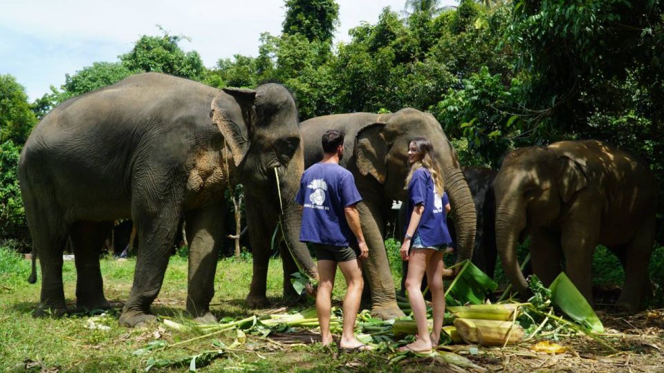 Koh Samui: Half-Day Ethical Elephant Sanctuary with Mud Spa - The Thai cooking class finale: noodle soup and a real meal