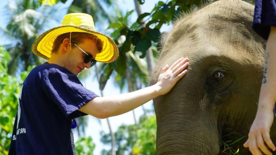 Koh Samui: Half-Day Ethical Elephant Sanctuary with Mud Spa - Feeding and the health mix: where the day feels most meaningful