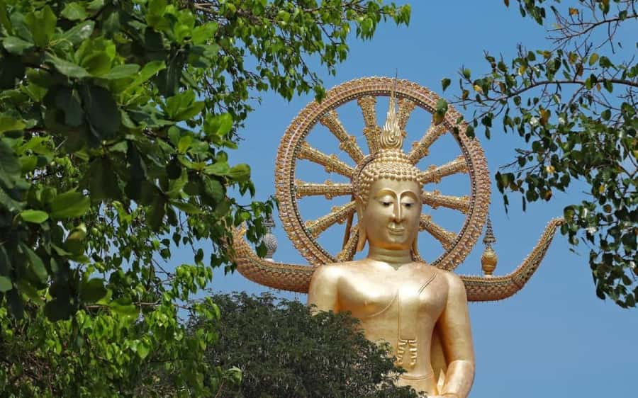Koh Samui: Half-Day Highlights Tour with Hotel Transfers - Key Koh Samui Highlights Tour Takeaways
