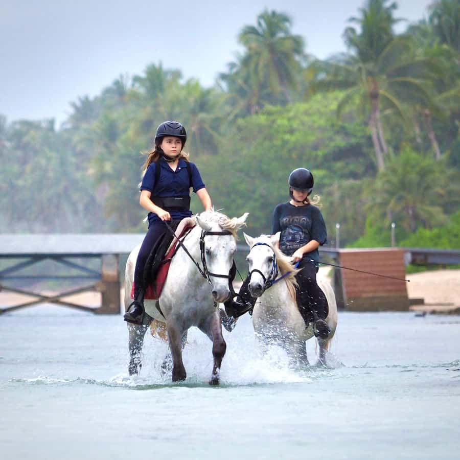 Koh Samui Horse Riding & Beach Trails - Key points before you go