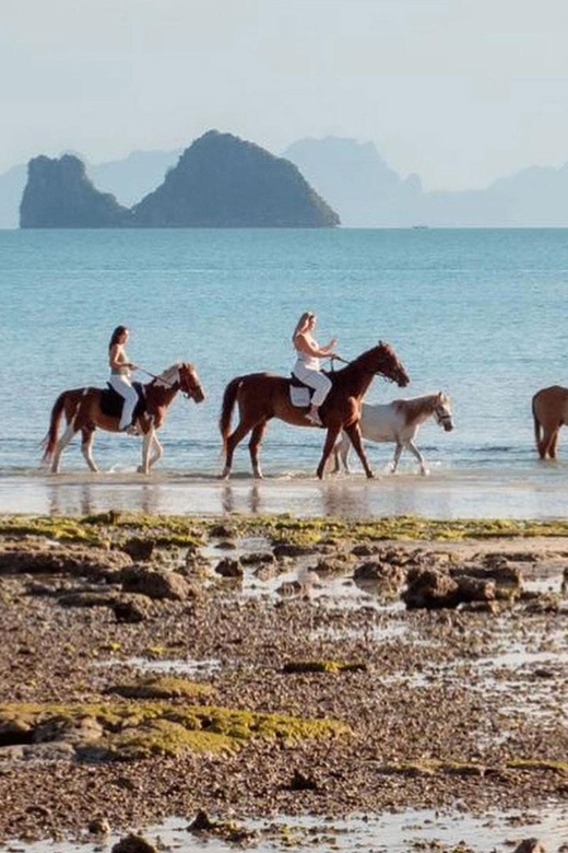 Koh Samui Horse Riding & Beach Trails - Should you book this Koh Samui horseback ride?