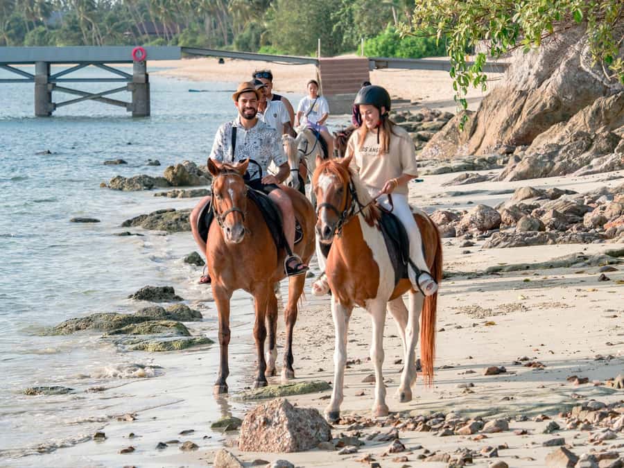 Koh Samui Horse Riding & Beach Trails - Getting to the COLTS office (and staying on schedule)