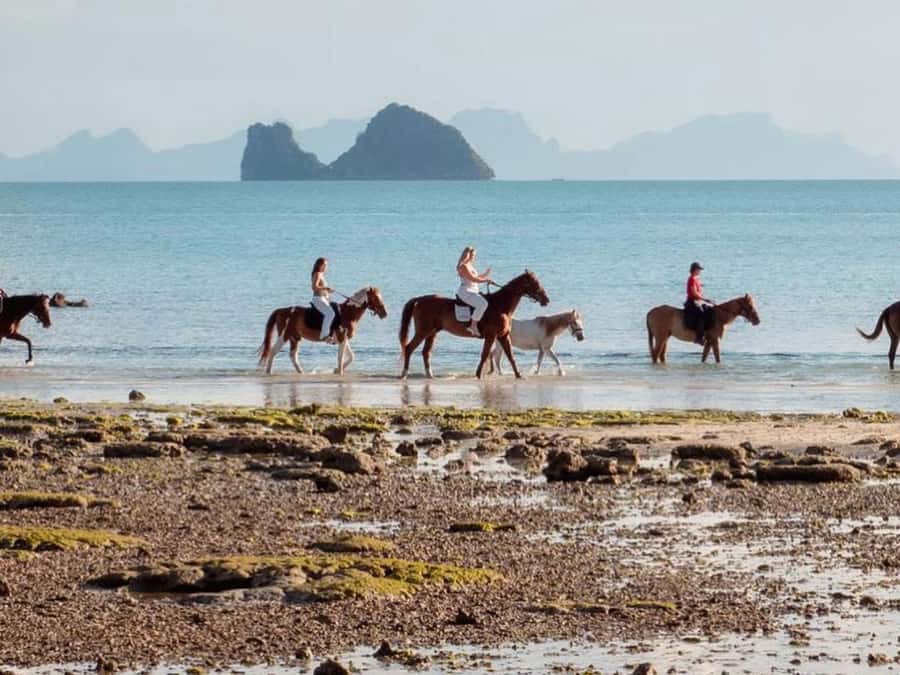Koh Samui Horse Riding & Beach Trails - What the hour actually looks like