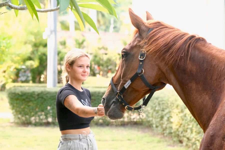 Koh Samui Horse Riding & Beach Trails - Price: what $79 buys you (and what it doesn’t)