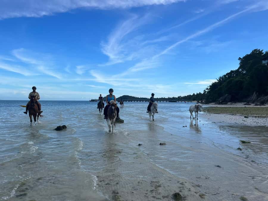 Koh Samui Horse Riding & Beach Trails - Who this ride is best for