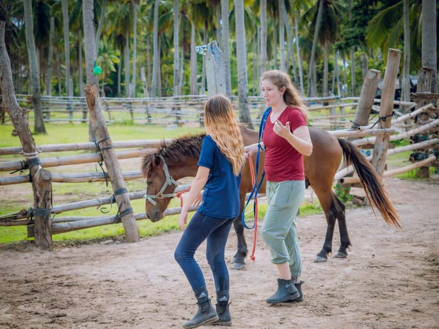 Koh Samui Horse Riding & Beach Trails - Practical packing tips that actually help