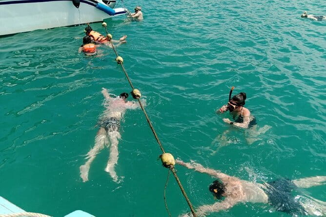 Koh Samui: Island Hopping Adventure in Coral and Pig Island - Koh Madsum (Pig Island): The Pigs, the Photos, and the Reality Check