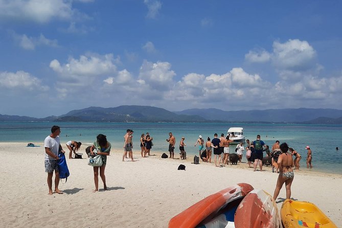 Koh Samui Islands Snorkeling Trip By Speedboat - Crew, group size, and what to expect from the “group adventure” feel