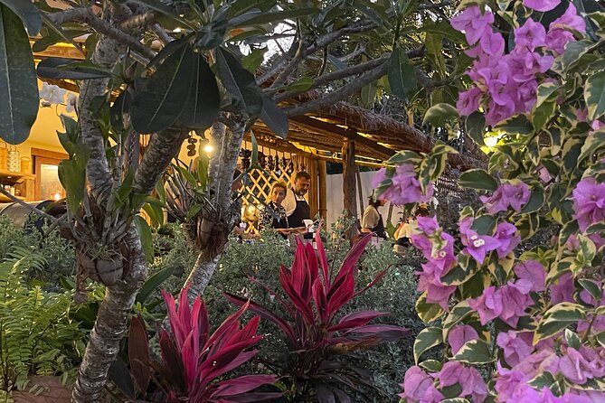 Koh Samui Jungle Kitchen - Evening Cooking Class (max 8 guests) - Organic Gardens First: Why the Harvest Stop Changes How You Cook