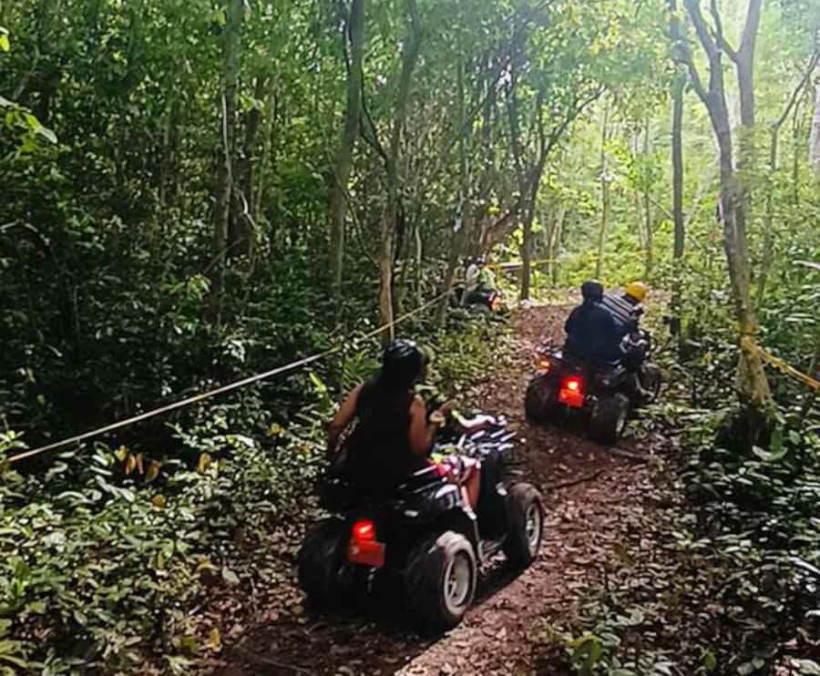 Koh Samui: Jungle, Mountains and Waterfalls ATV Tour - Price and Value: Is $93 a Smart Spend on Samui?