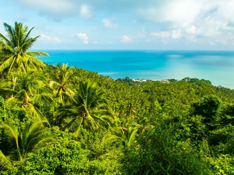 Koh Samui: Jungle, Mountains and Waterfalls ATV Tour - From Pickup to Training: The Two-Hour Flow That Keeps You Moving